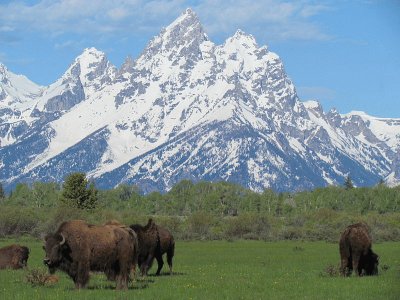 Grand Tetons