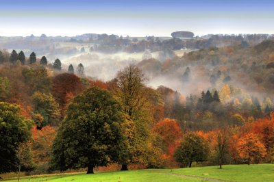 Miserden Misty Autumn