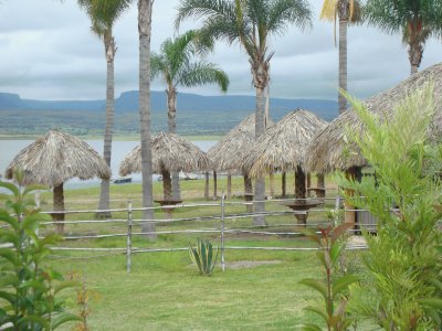 palapas