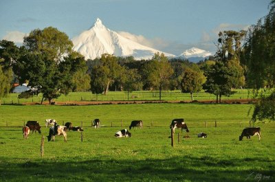 VOLCÃN CHILENO