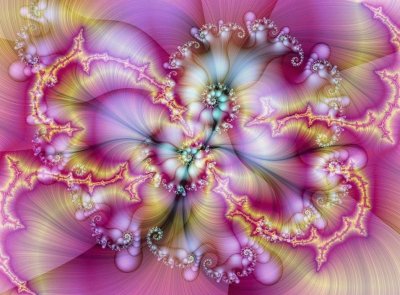 orchid fractal