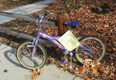 Lost Purple Bike in Fall Leaves