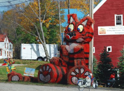 Hay bale cat