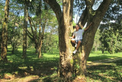 JARDIM BOTANICO - SP