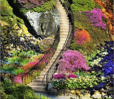 flowery steps