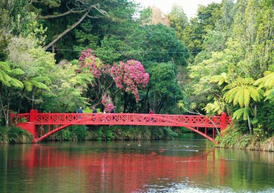 Pukekura Park, New Zealand