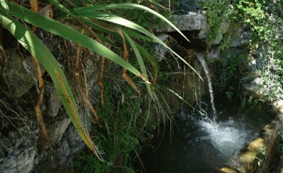 fontaine