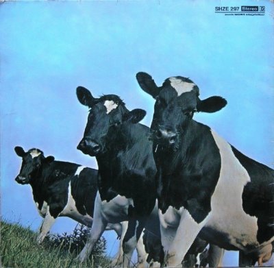 FLOYD COWS