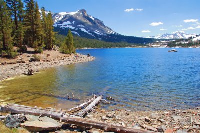 Tioga Pass