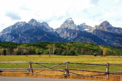 Grand Teton NP