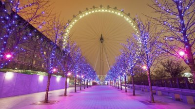 Purple Purple Christmas Walkway-London