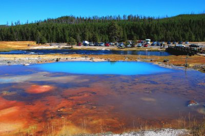 Lower Geyser Basin, Yellowstone NP