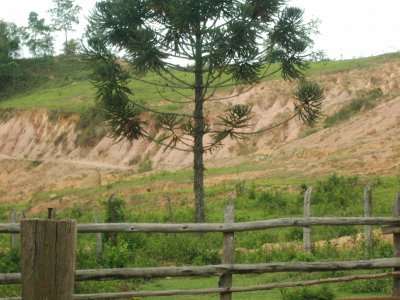 Fazenda Potreiro