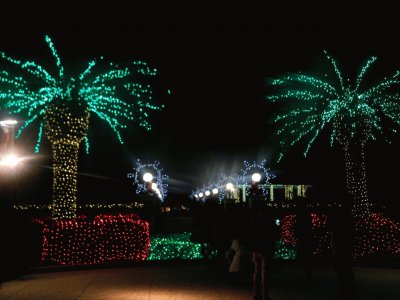 christmas decor in florida