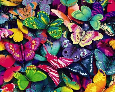 MARIPOSAS