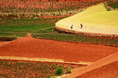 tierras rojas