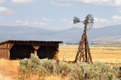 California grassland