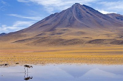 DESIERTO DE ATACAMA, CHILE.