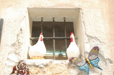 Poules