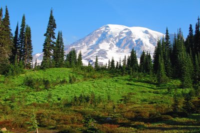 Mt Rainier