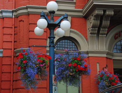 Hanging Baskets