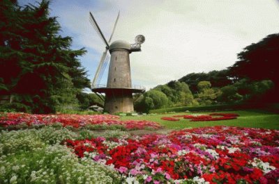 Golden Gate Park Windmill-San Francisco