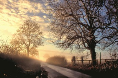 Morning mist