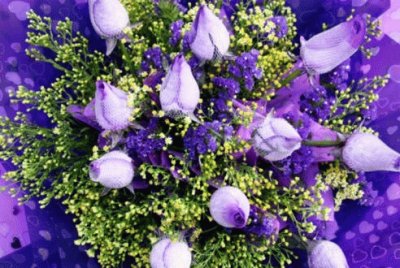 Lavender Rose Buds-So Pretty