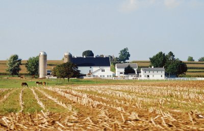 Amish Farm