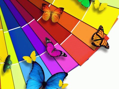 Rainbow of Butterflies