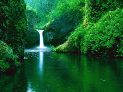 Punch Bowl Falls-Eagle Creek Widerness