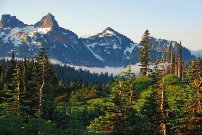 Early morning, Mt Rainier NP