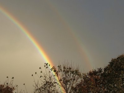 Backyard rainbow