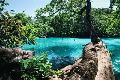 blue lagoon jamaica