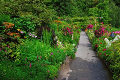 Butchart Gardens