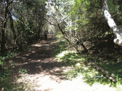 SIERRA DE LAS ANIMAS