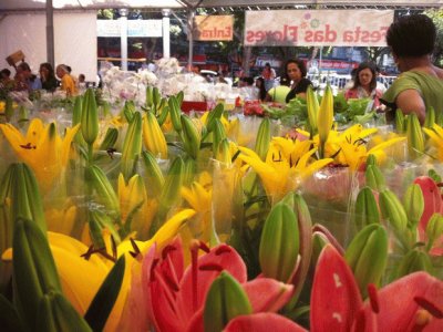 Comprando flores