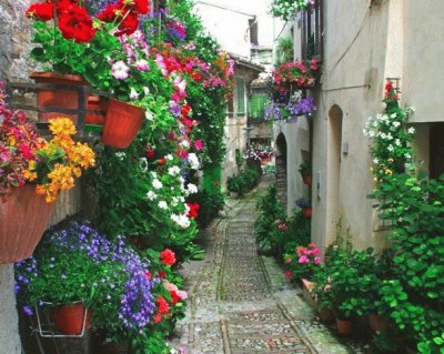 Beco Com Flores