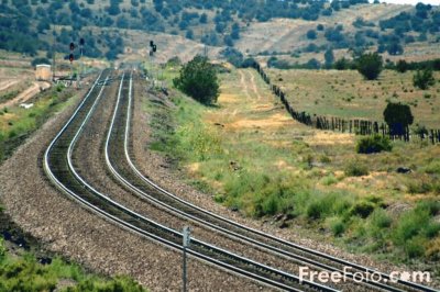 ferrocatrenes