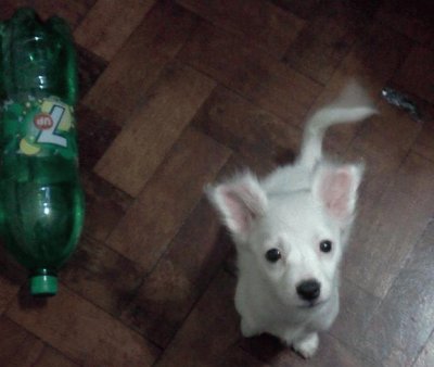 Tango 7up