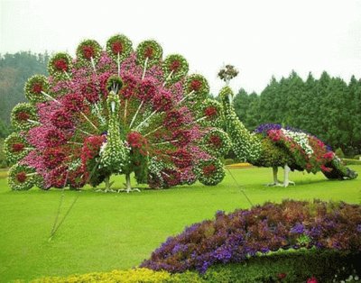 CREATIVIDAD EN JARDINERÃA