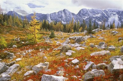 PARQUE NACIONAL DE NORTH CASCADES, WASHINGTON.