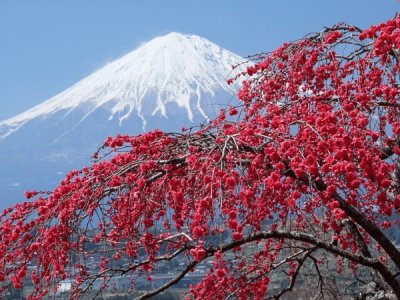 Mount Fuji  Japan