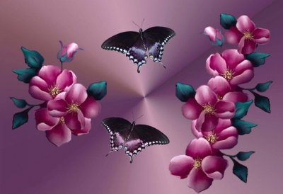 Butterfly and Flowers