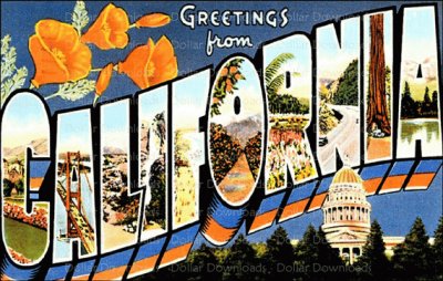 Vintage California Post Card