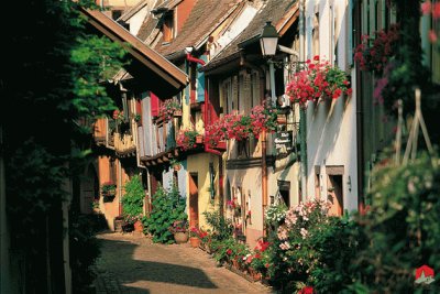 Street in Eguisheim Alsace