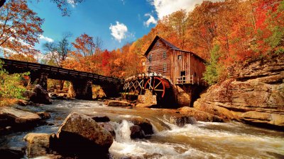 Water Mill in the Forest