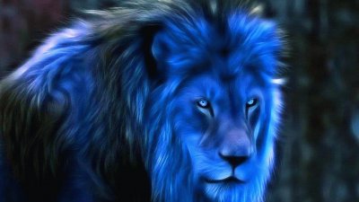 lion