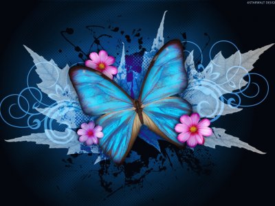 Blue Butterfly