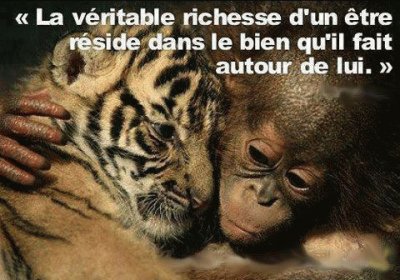 citation